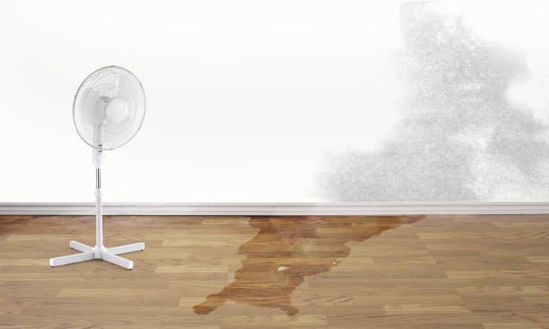 Best Flood restoration services  in Loretto, PA