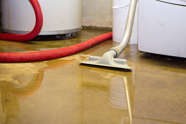  Loretto, PA Water damage restoration Pros
