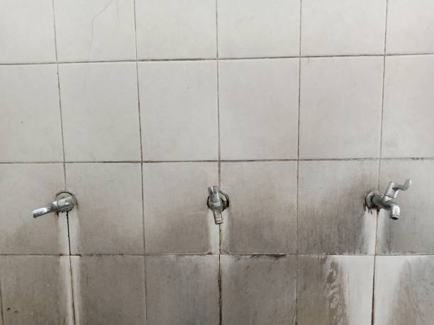 Best Basement water damage restoration  in Loretto, PA