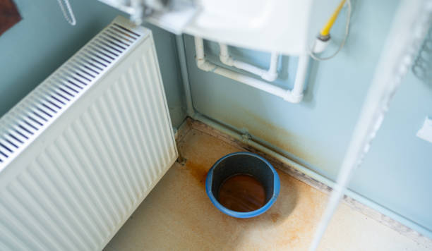 Best Flood damage cleanup  in Loretto, PA