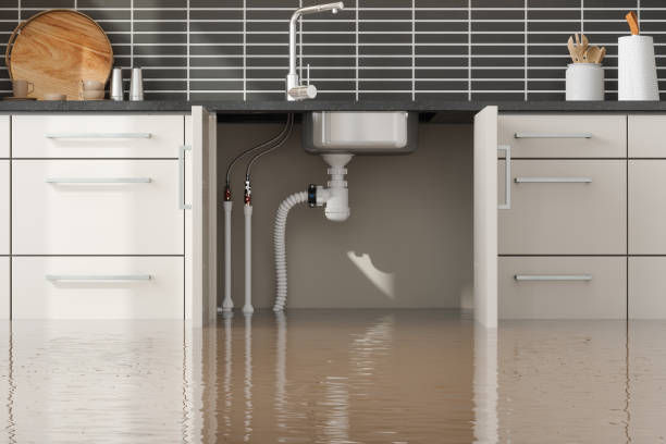 Best Flooded house restoration  in Loretto, PA