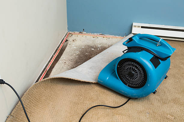 Best Sewage cleanup and water damage restoration  in Loretto, PA